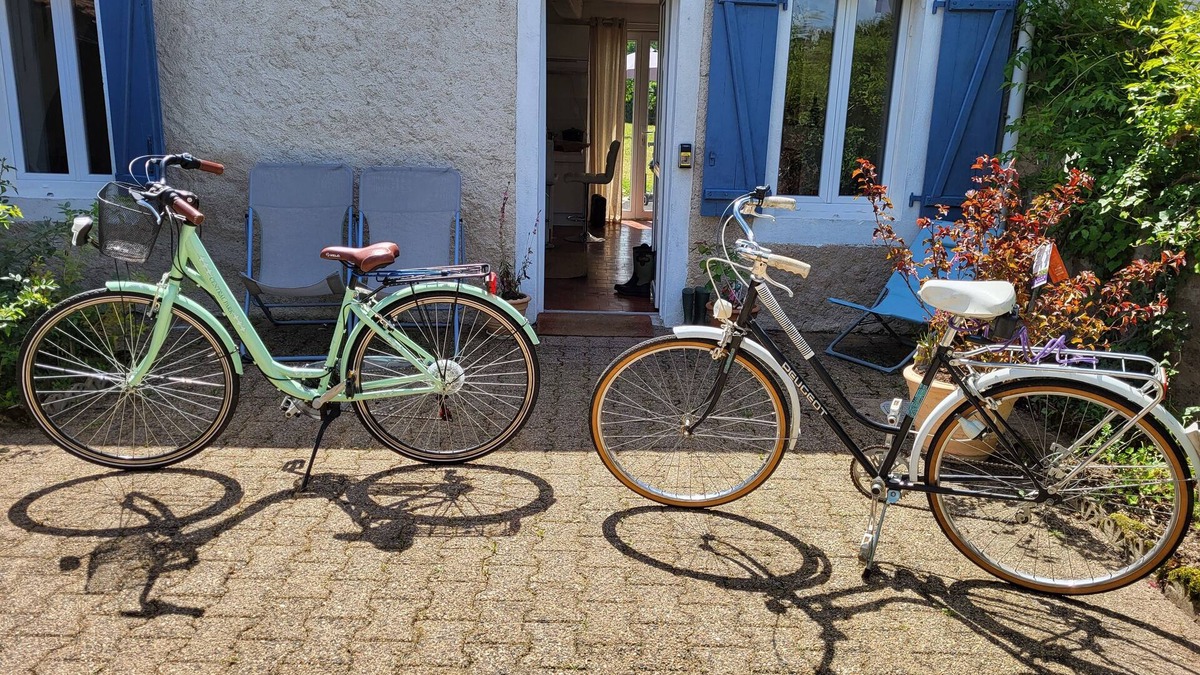 Saint-Aubin-sur-Loire House | 8 mn from the Bourbon lancy thermal baths, pretty little Burgundy house.