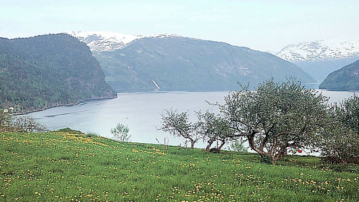 Eid House | 8 person holiday home in NORDFJORDEID