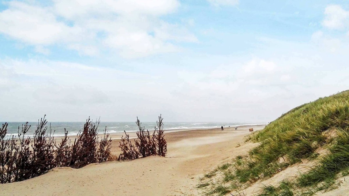 Harboore House | 8 person holiday home in Harboøre