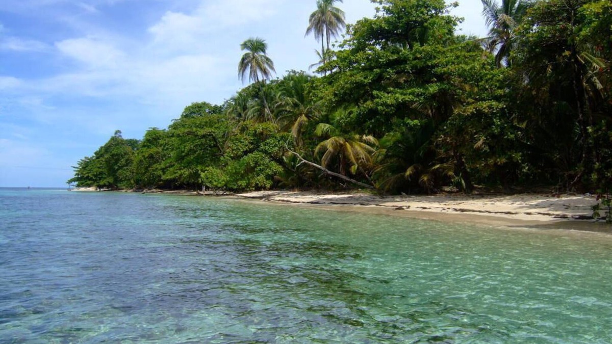 Puerto Jimenez House | 80USD OFF night ,Ocean, BEACHES /PRIVACY/POOL/Ocean View/Large Group