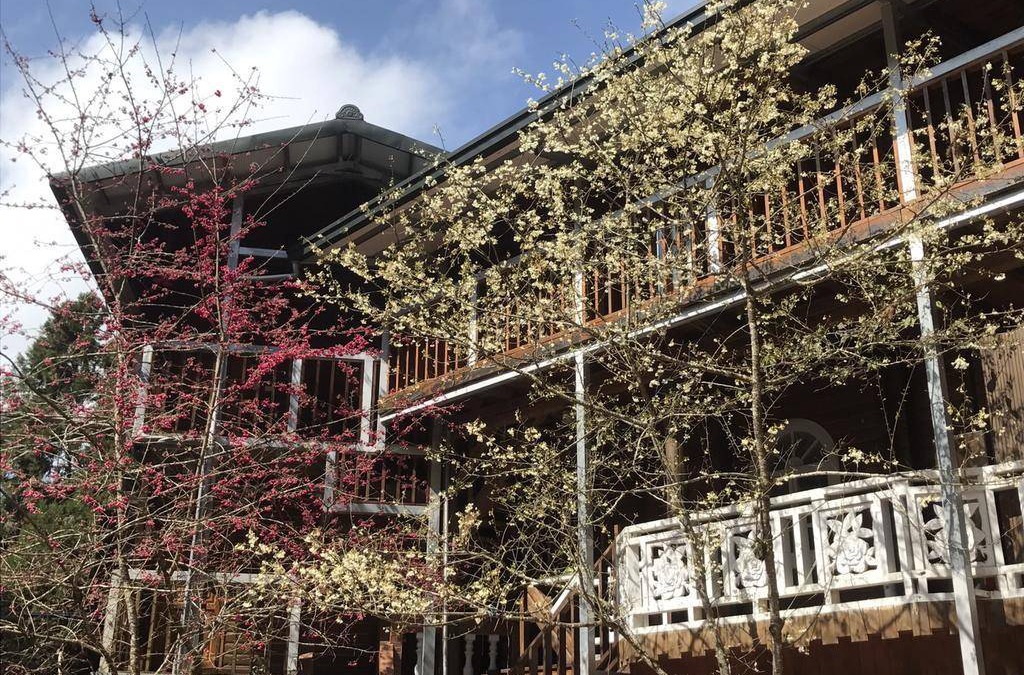 Xitou Hotel | 99 m² Motel ∙ 3 bedrooms ∙ 10 guests
