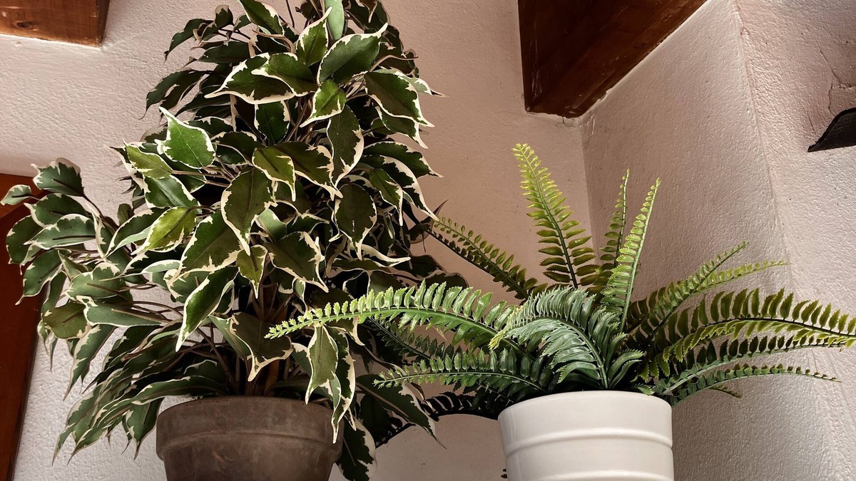 Somma Lombardo Apartment | A&A Rooftop