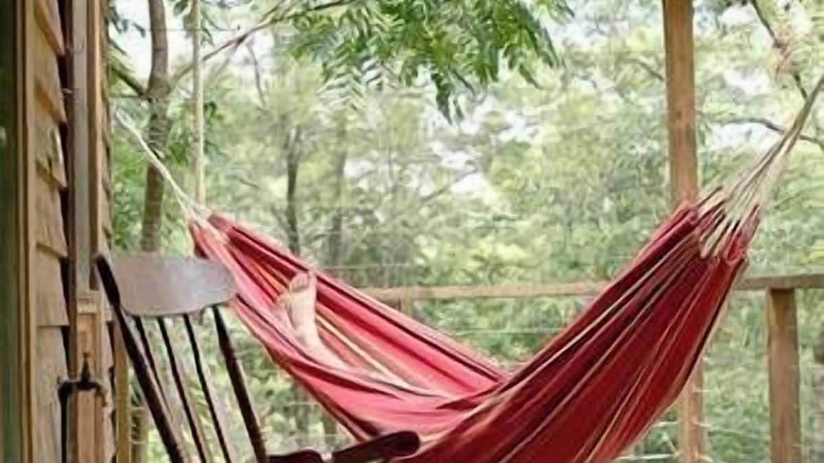 Bandon Grove Cabin | A Beautiful Peaceful Escape