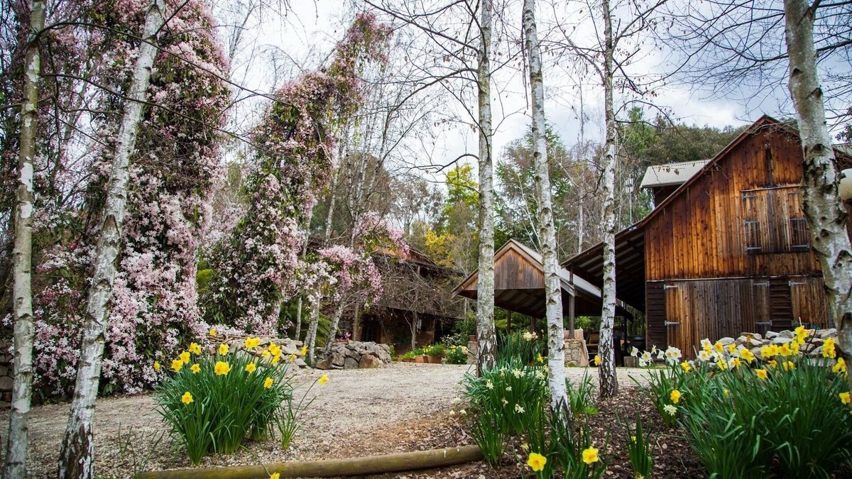 Tawonga South House | A bespoke romantic retreat in the heart of the high country, breakfast included.