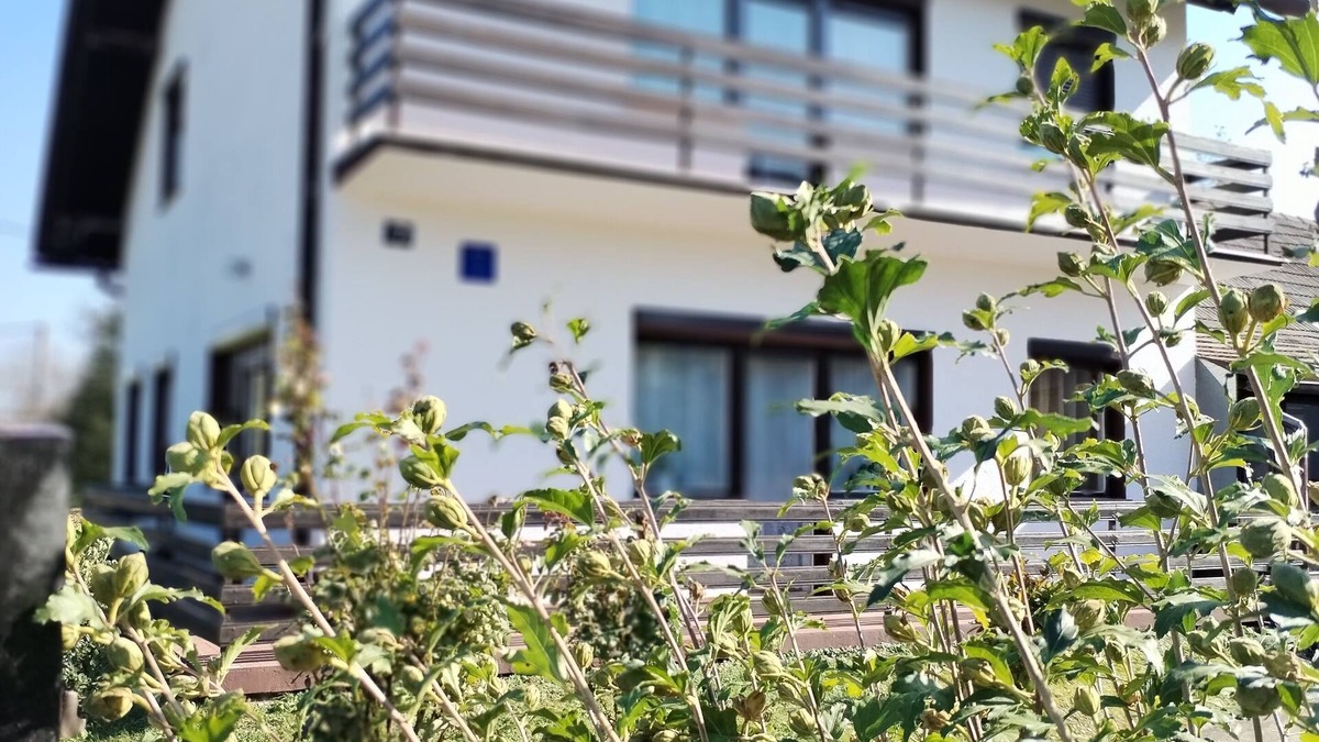 Koprivnica Apartment | A Big house