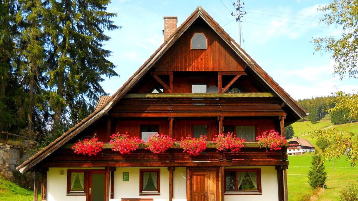 Schollach Condo | A Black Forest vacation in pure nature.