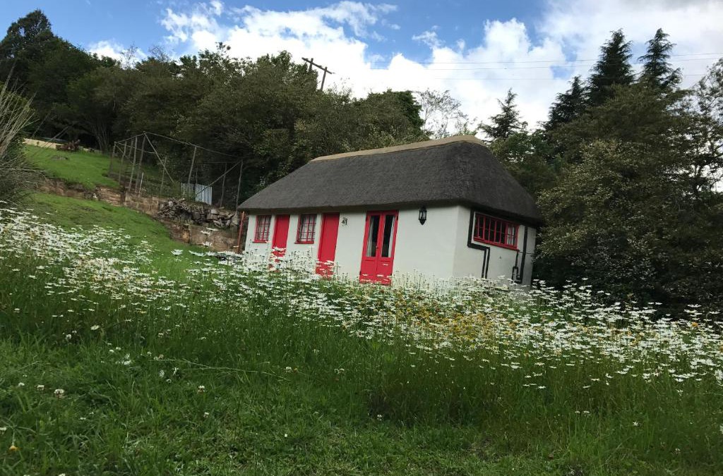 Rosetta House | A Boat House