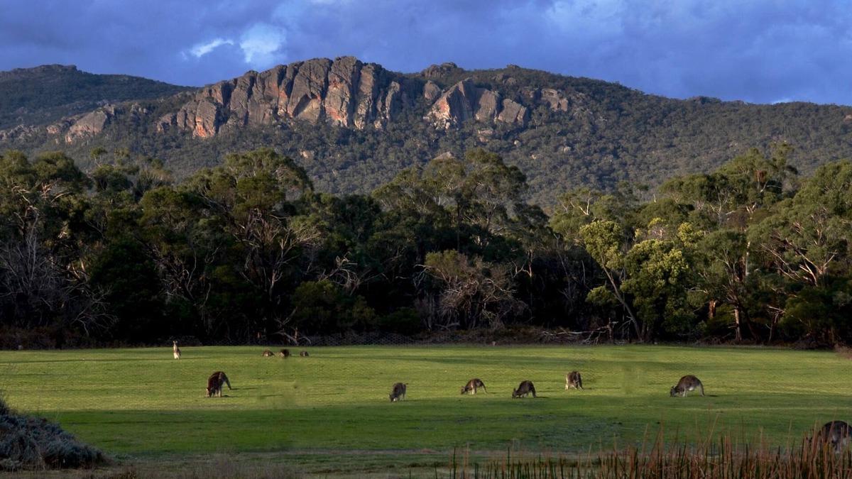 Cavendish Boat Rental | A Boat in the Grampians - Nature Lovers Eco-retreat