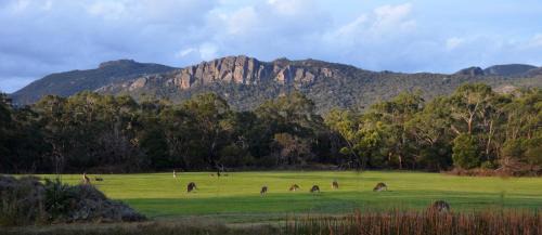 Cavendish Cabin | A Boat in the Grampians