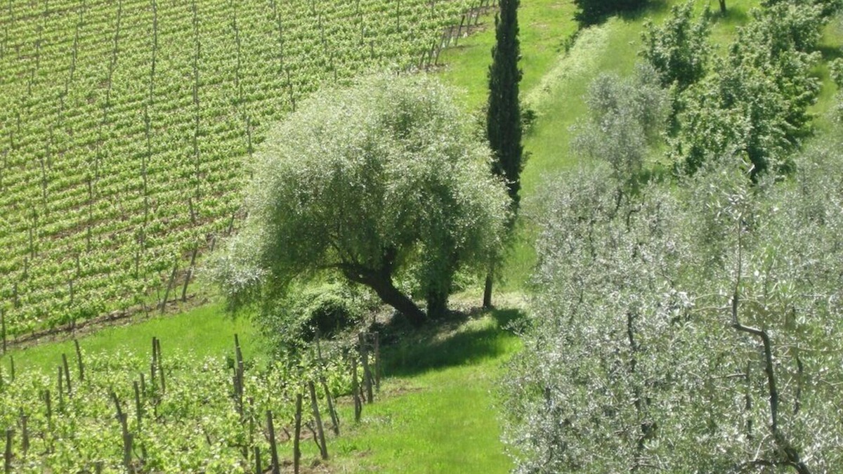 San Casciano in Val di Pesa Cottage | A Cosy Tuscan Villa, With Stunning Views On The Chianti Hills Near Florence