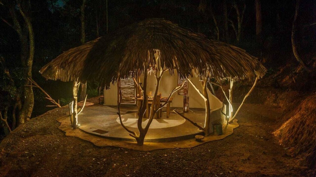 Ella Cottage | A cabin for nature lovers