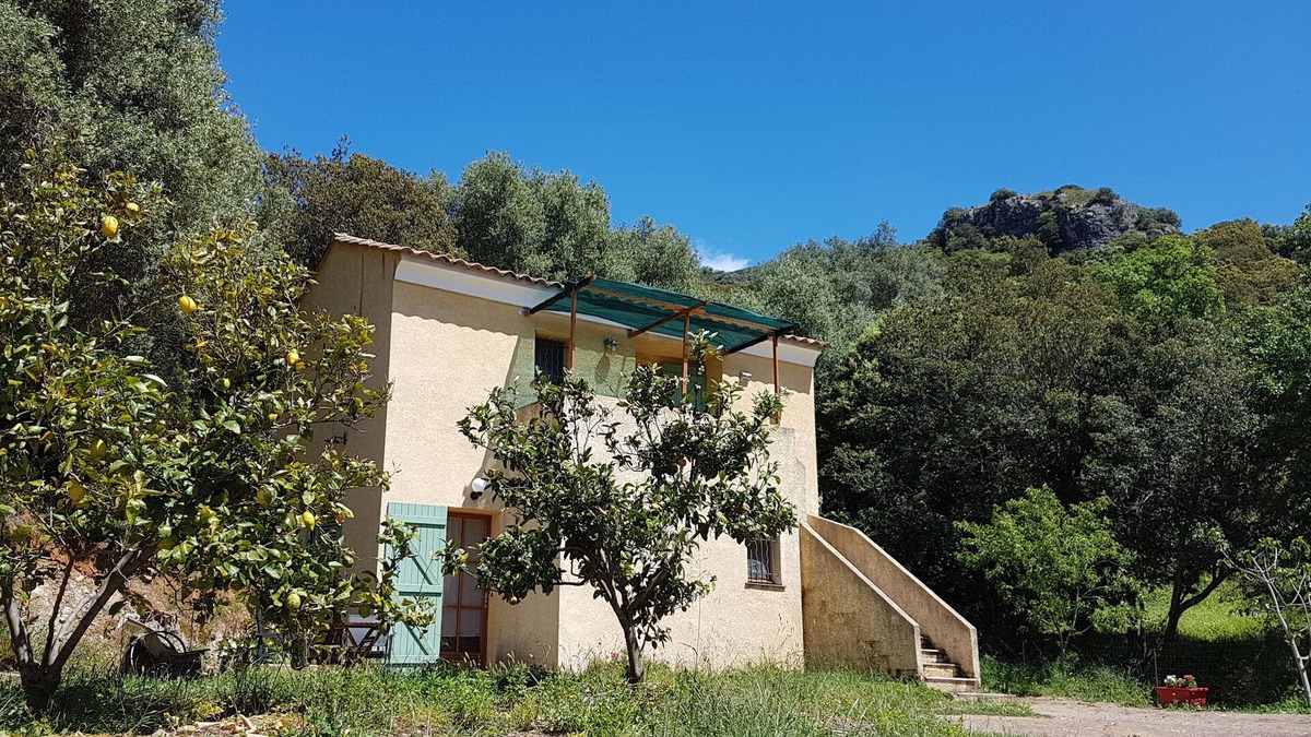 Patrimonio Bed & Breakfast | A Casa Di L'Alivu