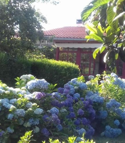 Ramiras House | A Casa do Buxo