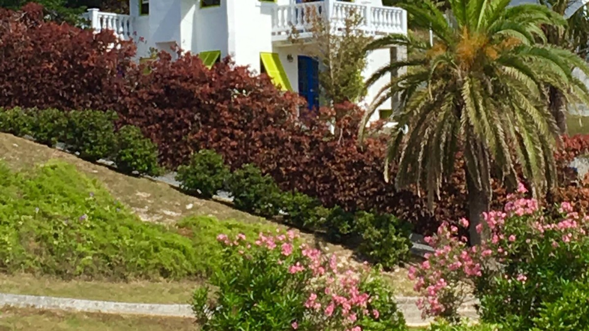 Southampton Villa | A Charming Bermuda Gem 🌸