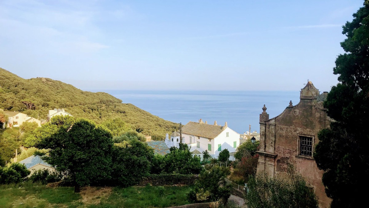 Pino House | A charming house