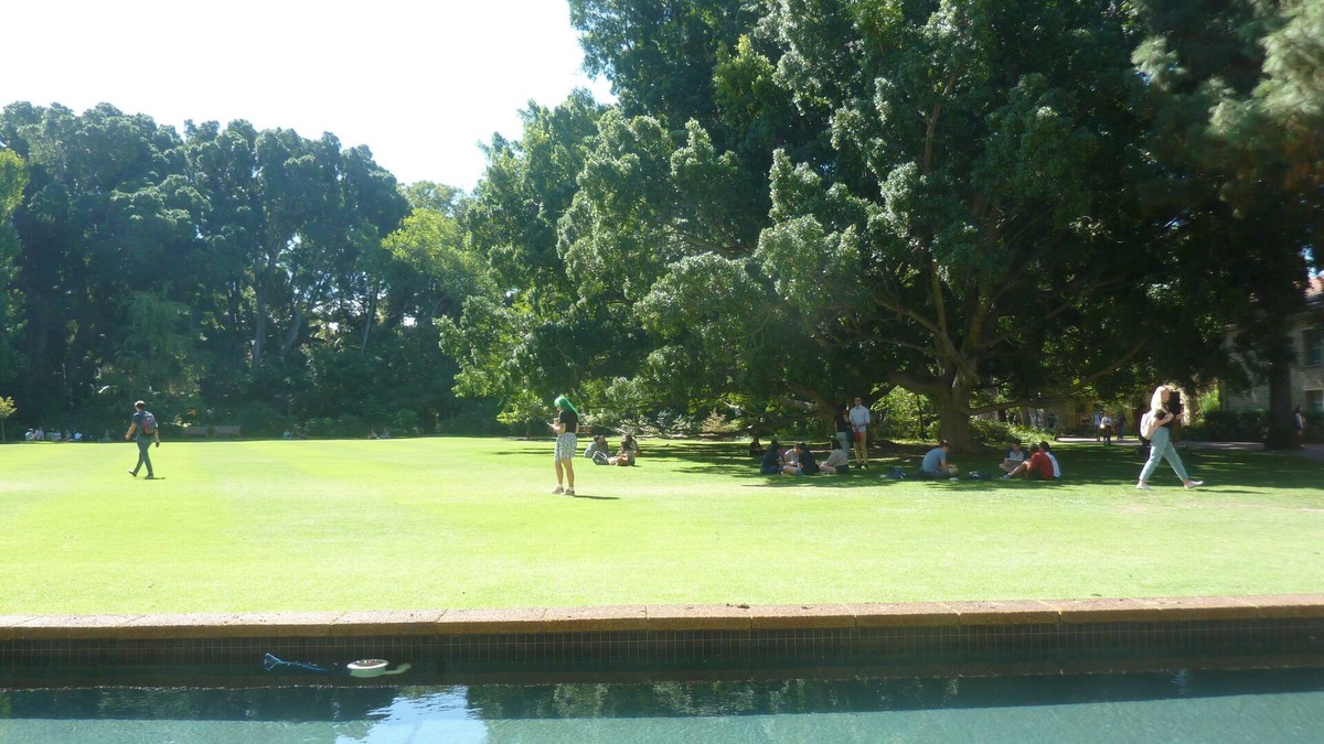 Advancetown House | A Classical Relaxation Resort for a family of 4 -6 in Christmas and/or New year