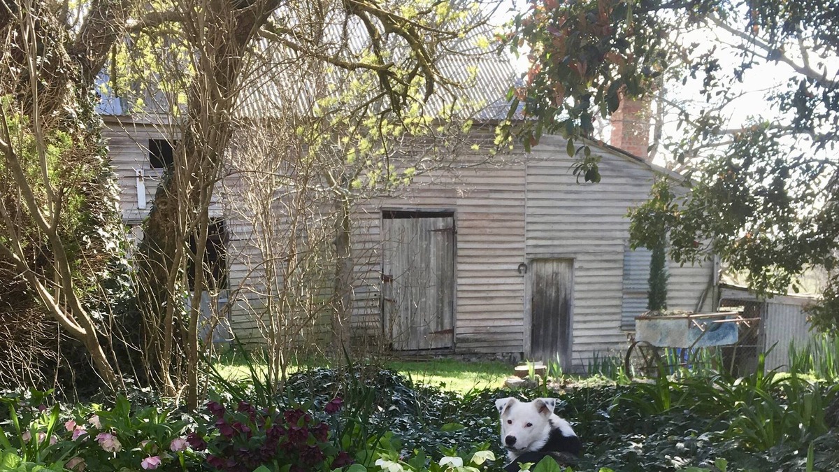 Ballan Cottage | A cottage for couples! Come stay & meet our alpacas 🦙💗