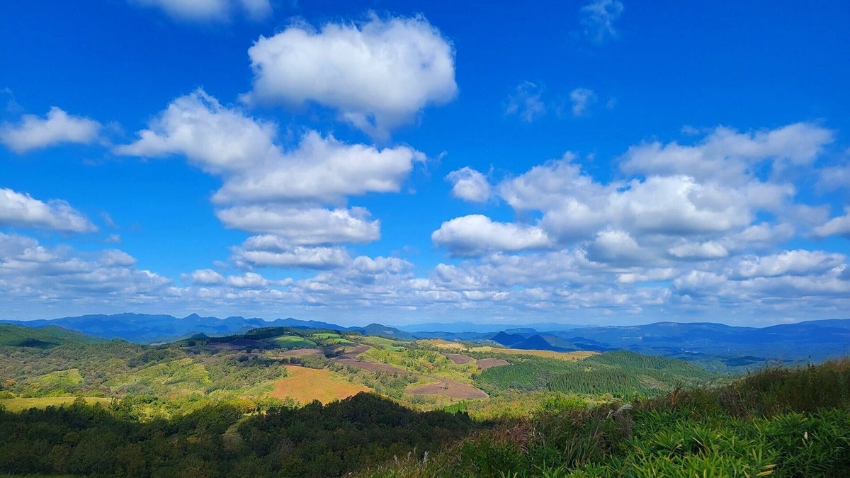 Beppu House | A couple strangely but happily united