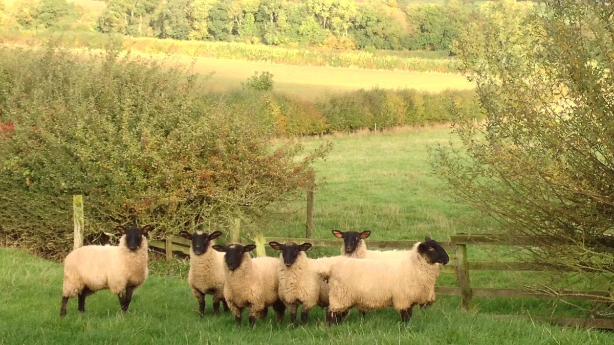 East Haddon Cottage | A delightful cottage in Northamptonshire - the heart of the shires.