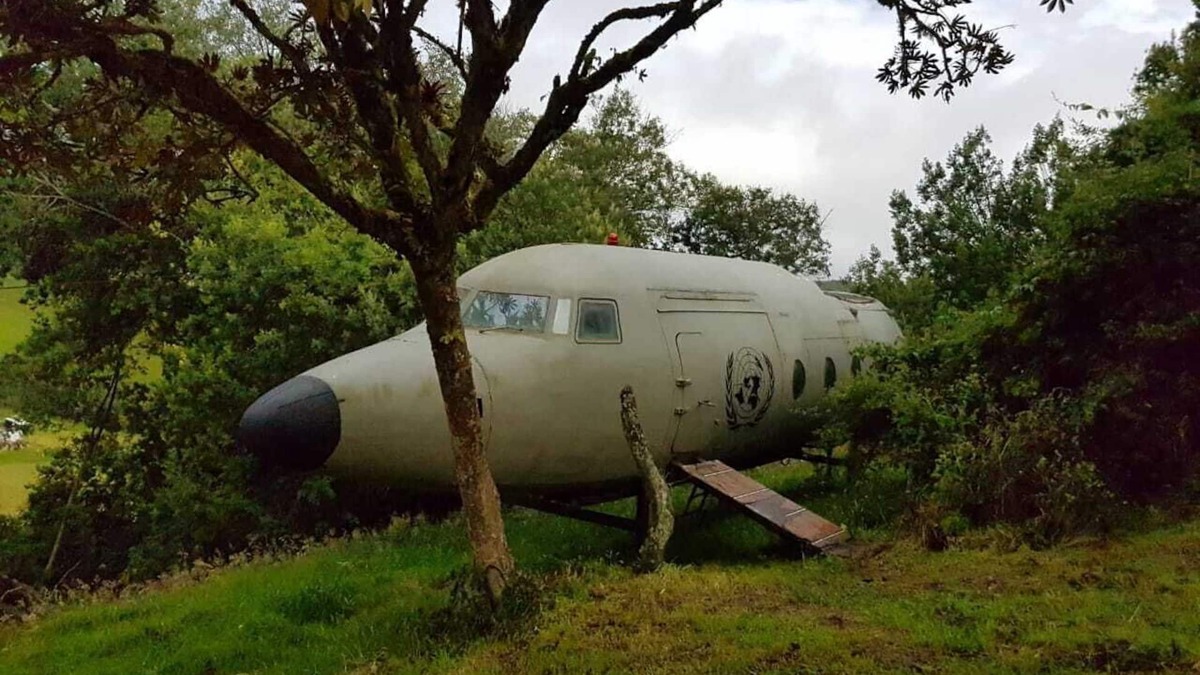 La Calera House | A different experience in a plane lost in the Colombian forest