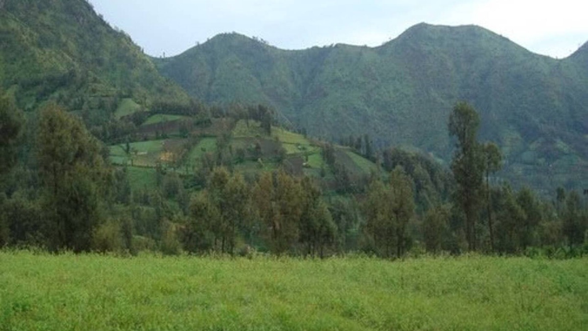 Ngadisari House | A double bedroom near Rehat Bromo Rst. & Warung Rinjani