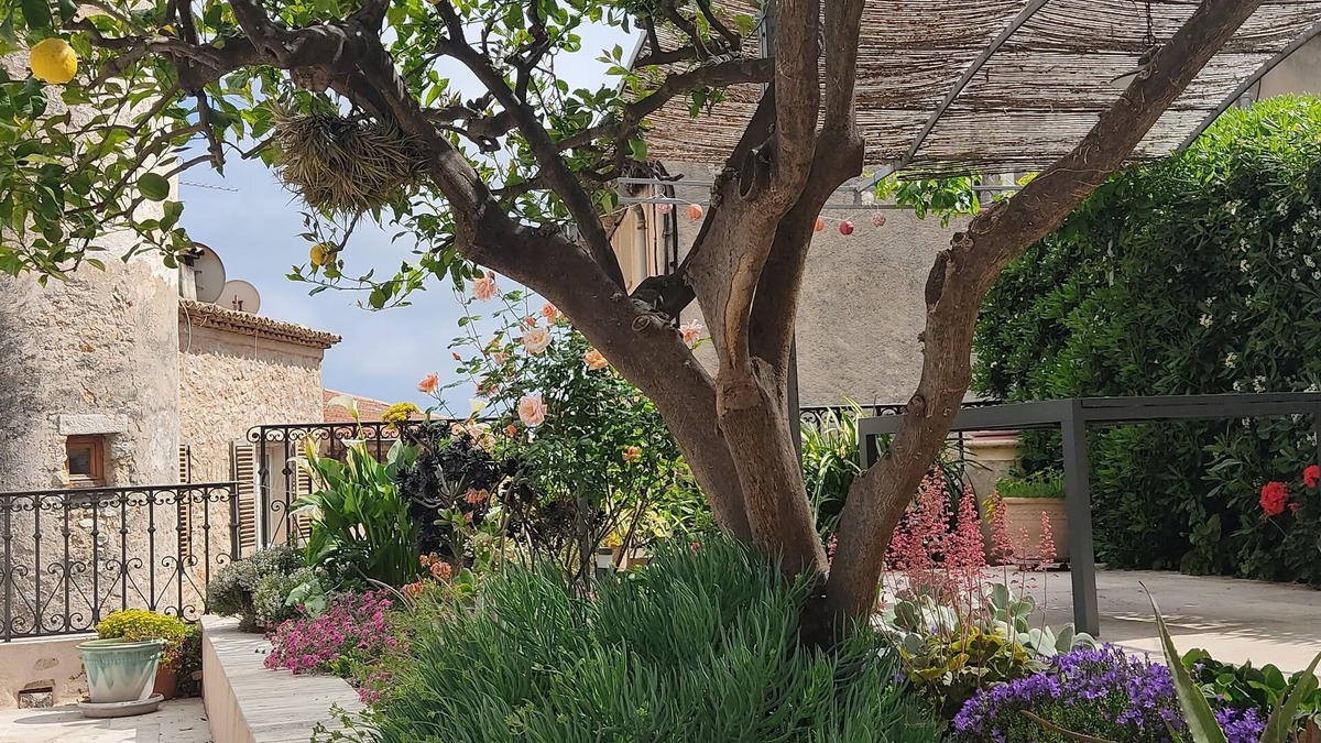 Saint-Jeannet Apartment | A dream week in the heart of Saint-Jeannet