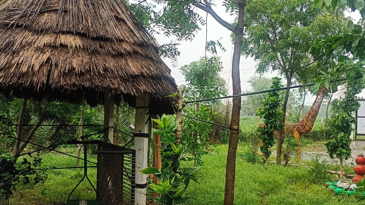 Shri Madhopur Other | A farmhouse stay - Live amidst nature