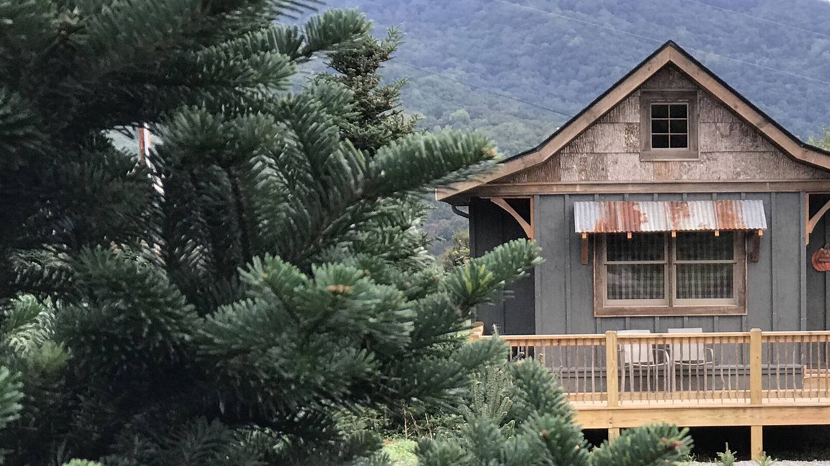 Waynesville Cabin | A hand-crafted cabin built in the middle of a Christmas Tree farm.
