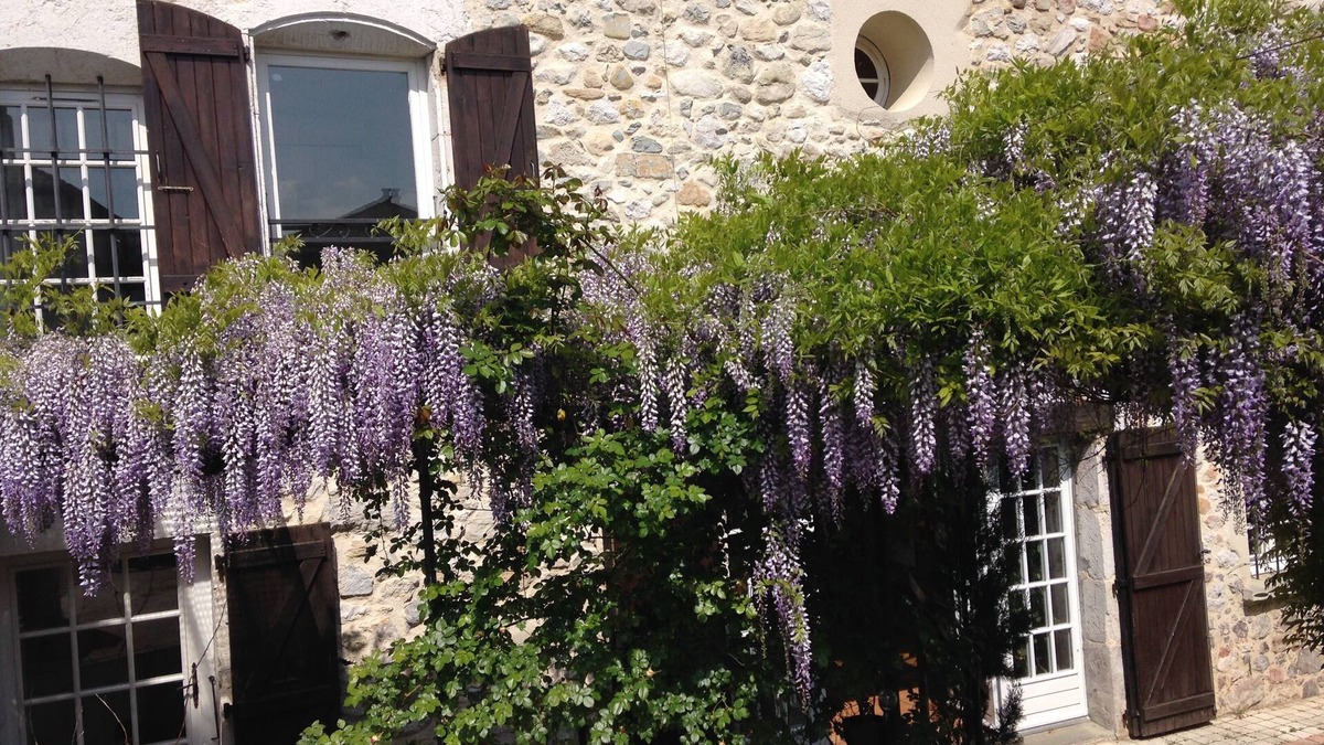 Saint-Vincent-de-Mercuze House | A haven of peace at the foot of the Chartreuse