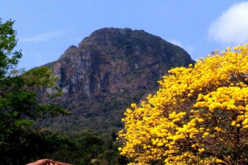 Altos del Maria Apartment | A Haven of Tranquility in the Mountains in Altos del Maria Panama