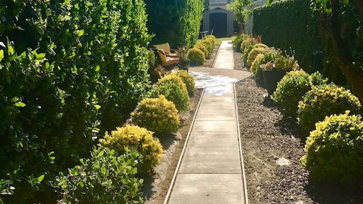 San Gabriel House | A HIDDEN GEM AT THE END OF THE GARDEN PATH!