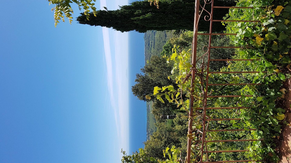 Santa-Maria-Poggio Villa | A house balcony of the Chataigneraie