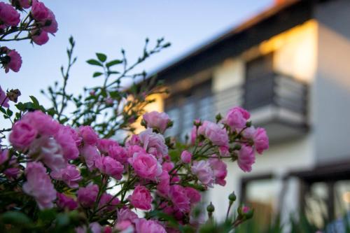 Koprivnica House | A house, free parking, sauna