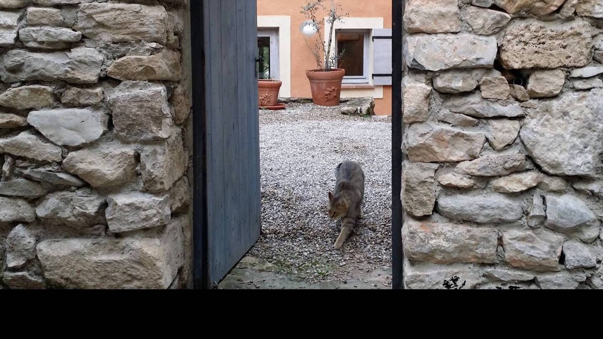 Nyons House | A House In Provence
