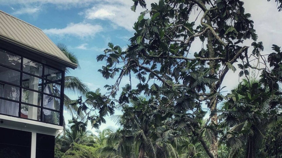 Tayabas City House | A House Lucban