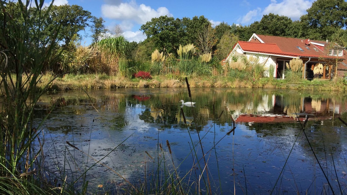 Friedeburg Apartment | A little oasis in the middle of nature