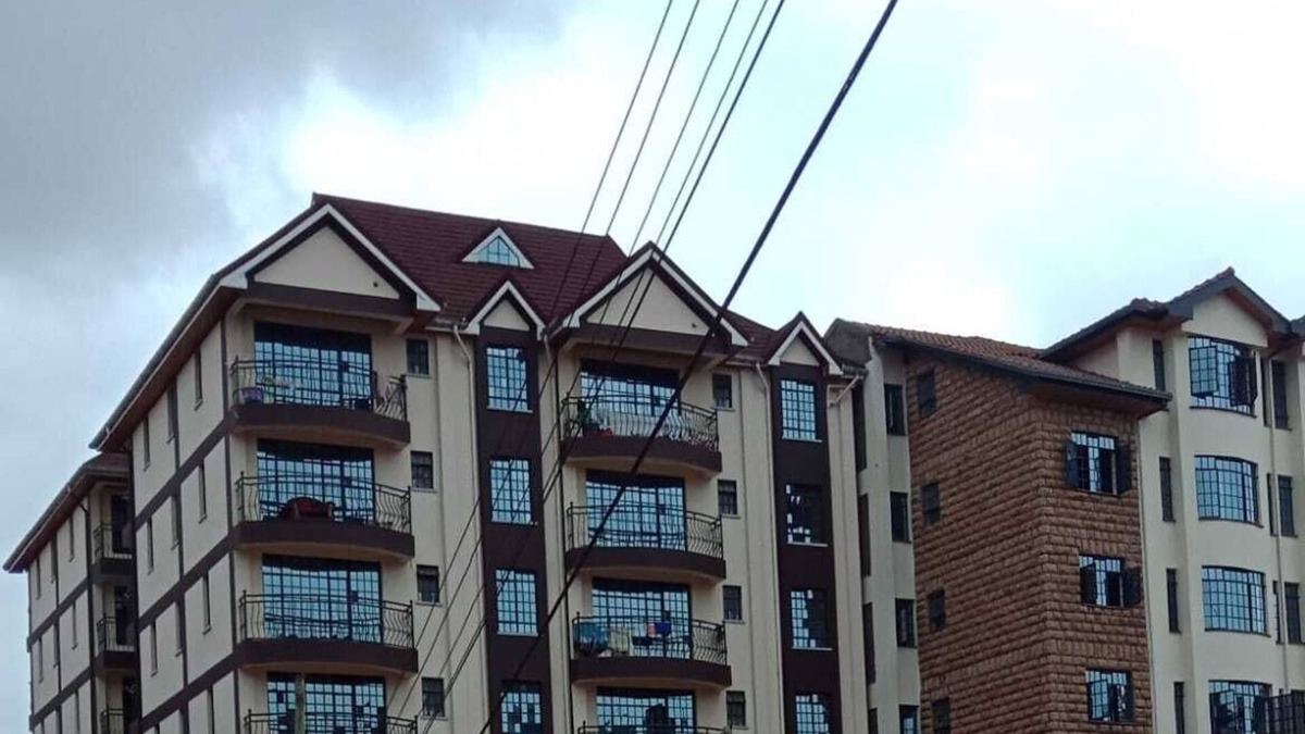 Ruaka Apartment | A lovely spacious and clean apartment