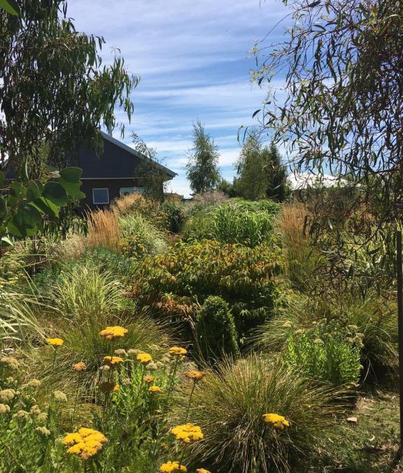 Trentham Bed & Breakfast | a'meadow