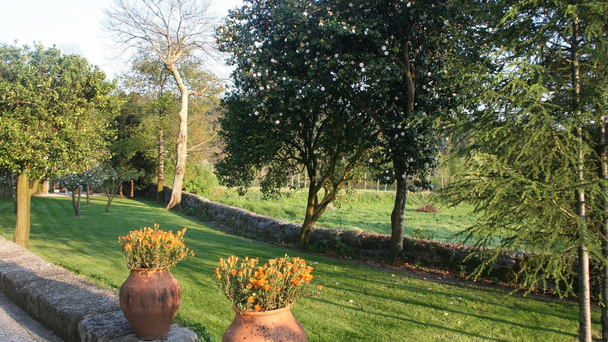 Fafe Cottage | A Modern Twist in the Countryside