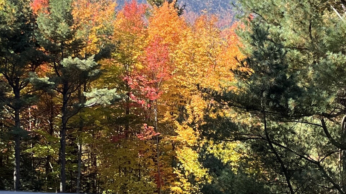 Wilmington Ski Chalet | A Mountain View Chalet - Whiteface - Lake Placid