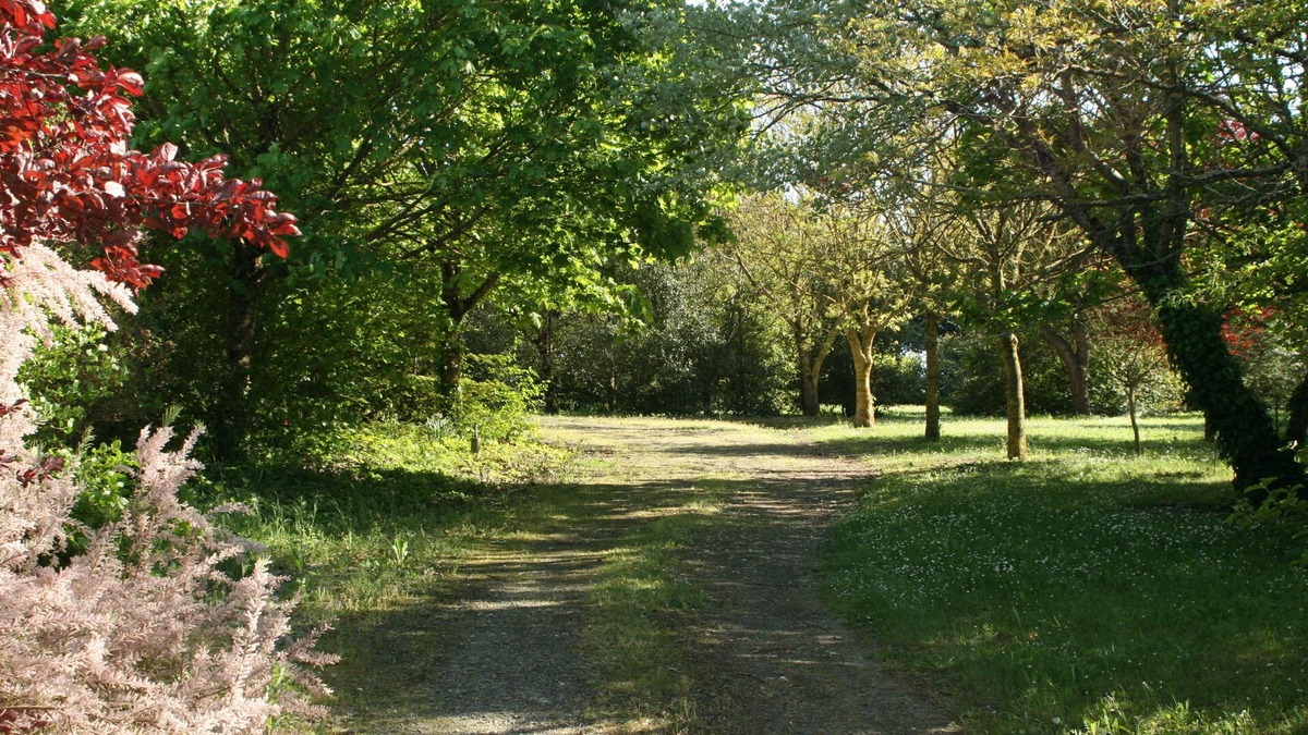 Salles sur Mer House | A nature paradise 3km from the beach - near La Rochelle