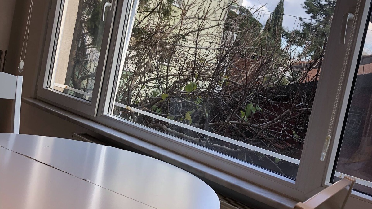 Yenikoy Mahallesi Apartment | A nice flat in Yeniköy 50m away from the sea (bosphorus)