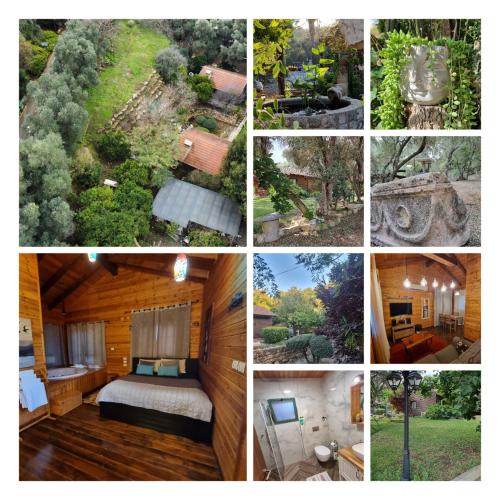 Zippori Cabin | A Place To Dream