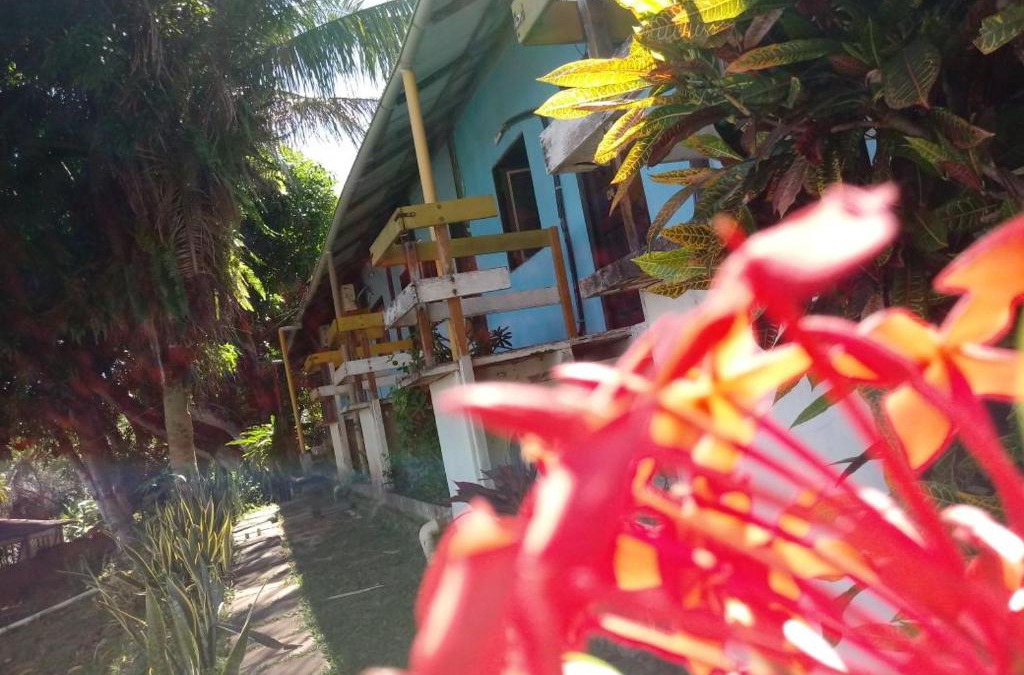 Olho D'agua Hotel | A Pousada da Praia
