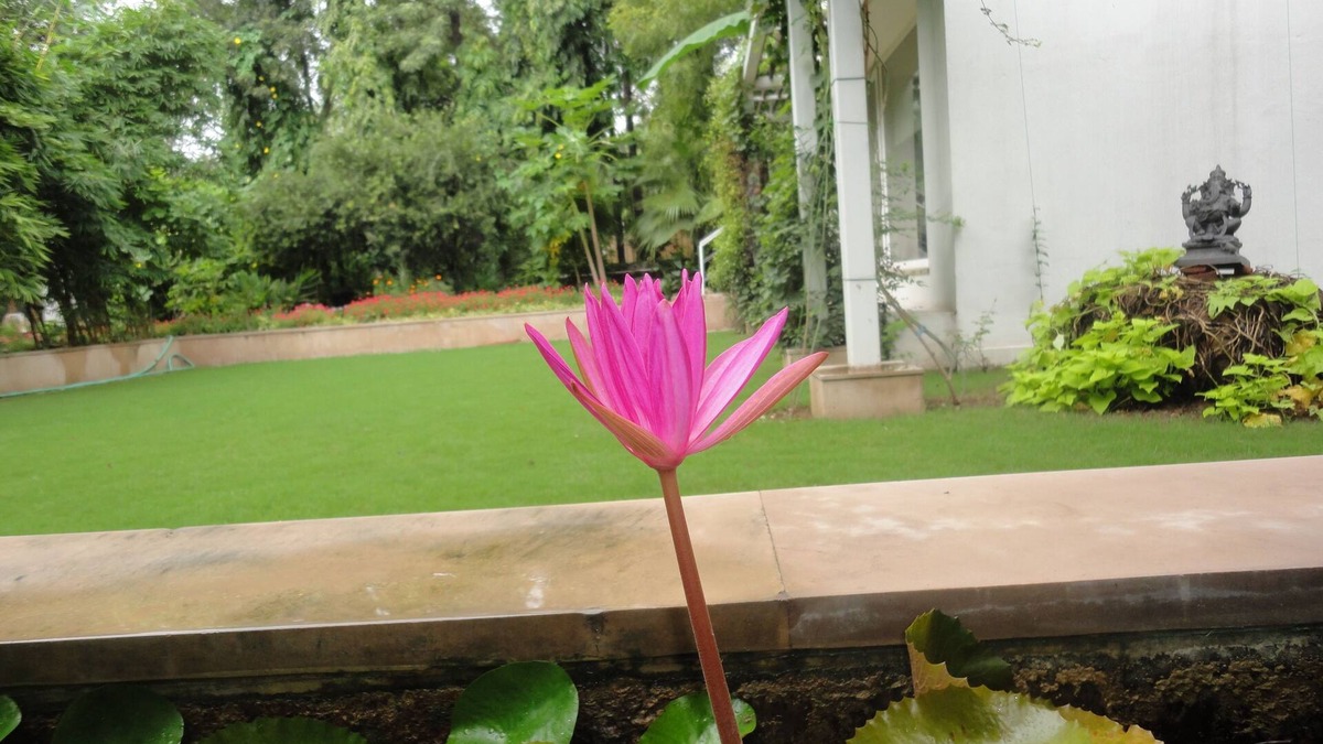 DLF Farms Villa | A Private Room In New Delhi's Luxurious Villa Home.