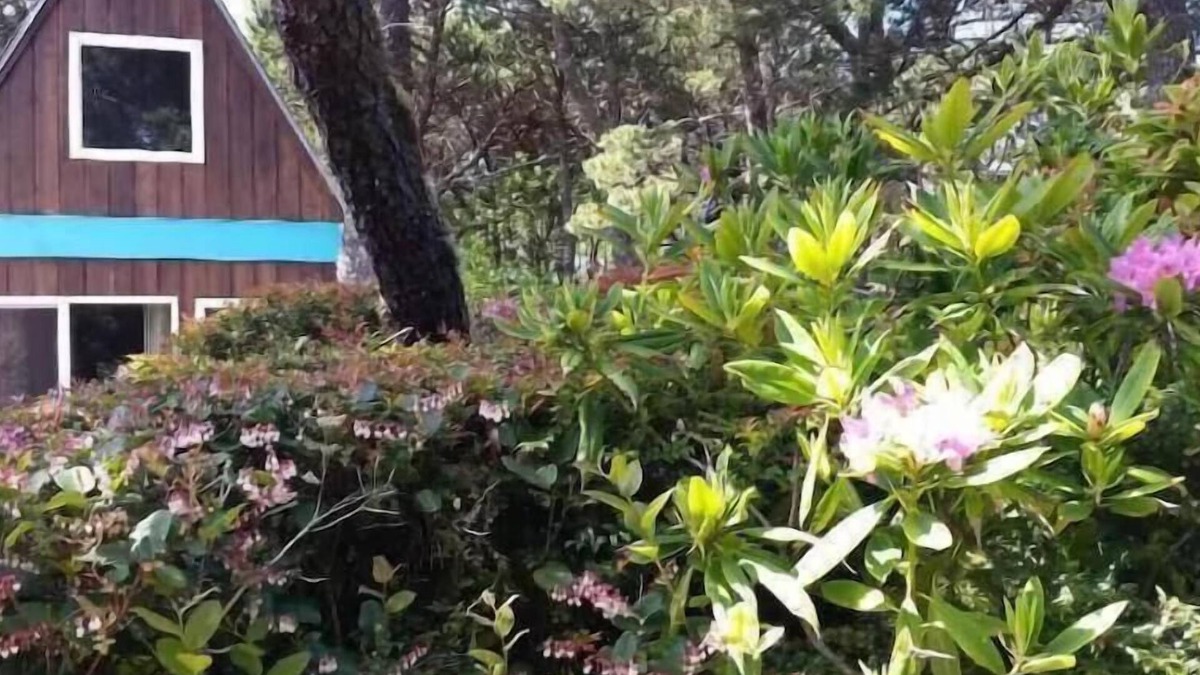 Florence Cabin | A Retro A-Frame within walking distance of Heceta Beach -.Anchor's A-Way:
