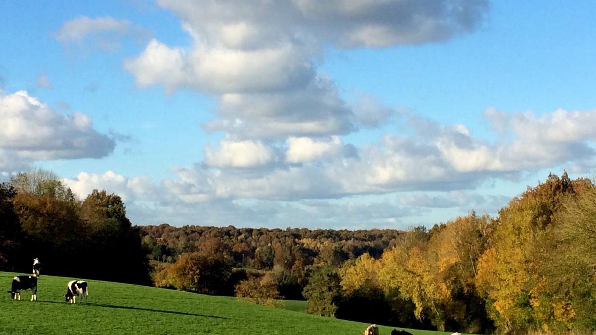 Tordouet Cottage | A romantic hideaway with a Nordic spa to get back to the heart of Calvados