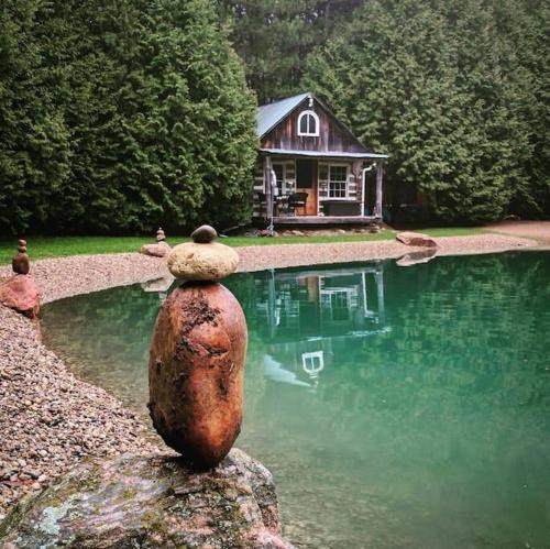 Mono House | A rustic cabin in the woods