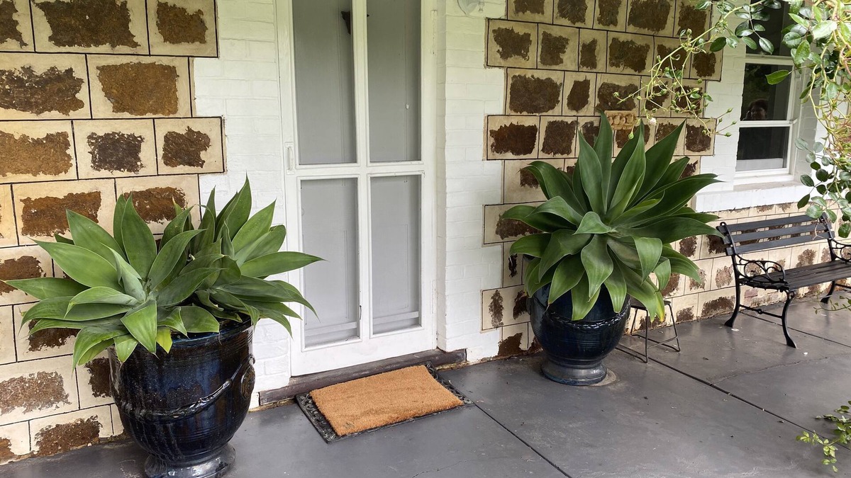 Back Valley Cottage | A secluded rural cottage in lovely gardens minutes from the beach