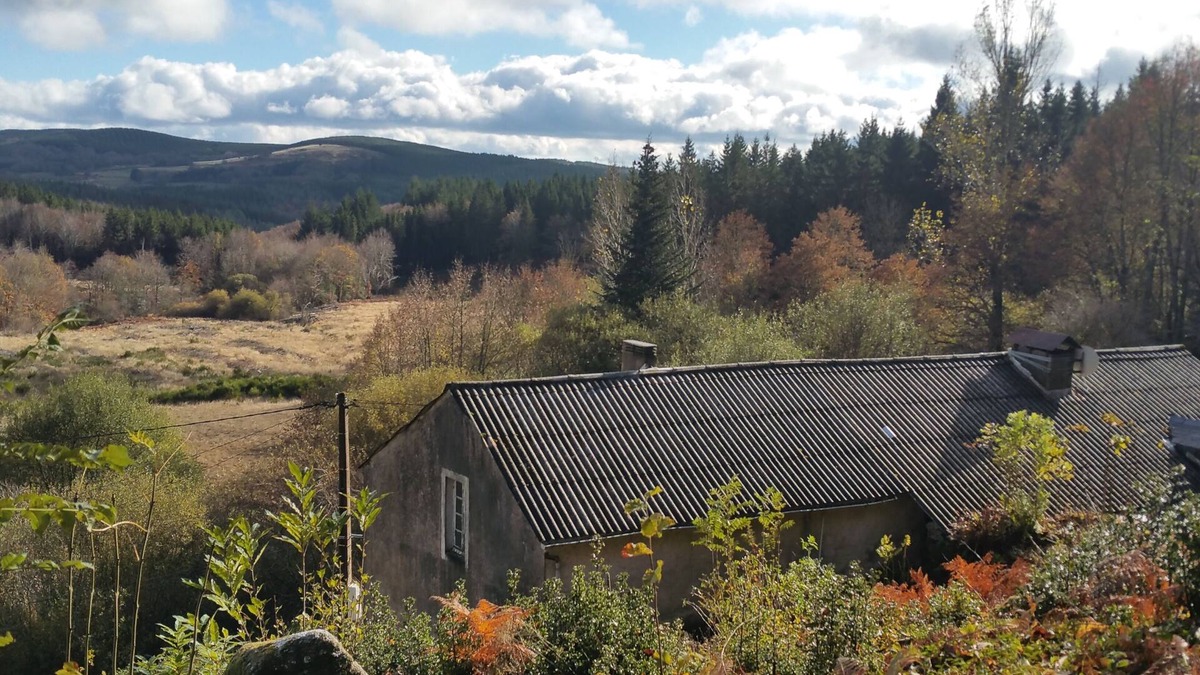 Cambon-et-Salvergues Apartment | A small apartment with 2 bedrooms in the Espinouse mountain